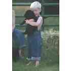 Standard Poodle puppies