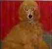 Standard Poodle puppies